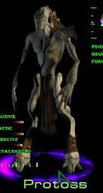 Protoss